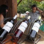 La DO León traslada su feria anual del vino de Valencia de Don Juan